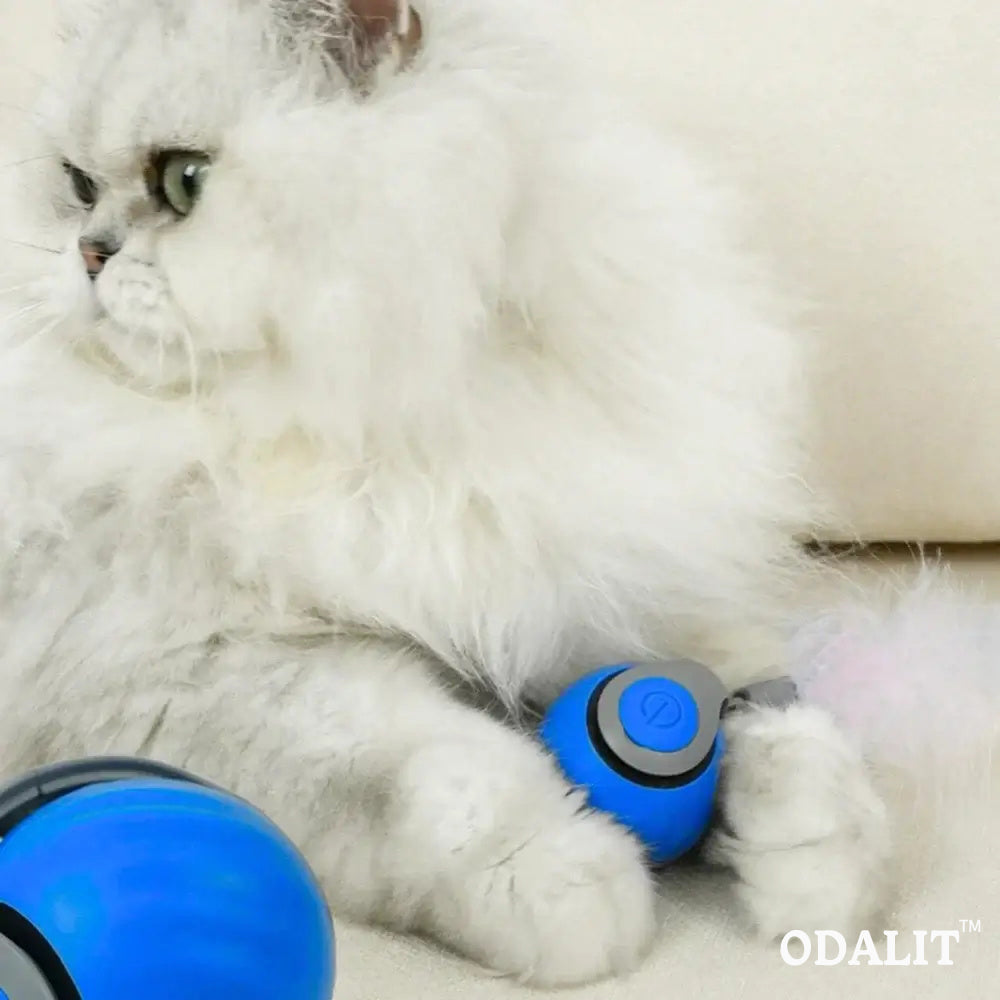 Smart chasing cat toy ball 😸